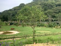 -李小龙乐园(顺德均安店)