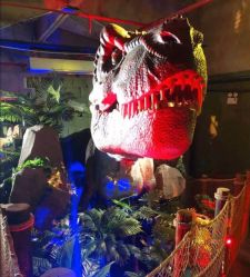 -恐龙探索乐园(磁器口店)