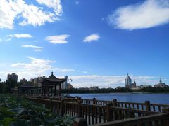 -莲花池公园