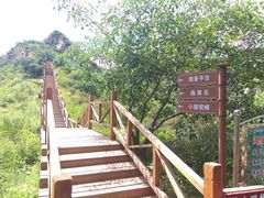 -大岭沟猕猴桃谷风景区