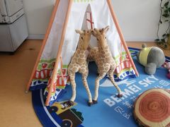 -贝美蓝天幼儿园(河东直沽园)