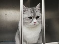 -安安宠医·安宠宠物医院