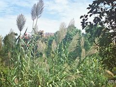 -杭州城北体育公园