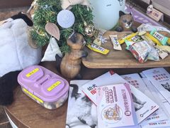 -宠爱国际动物医院·消化内科·心肾内科·ISFM猫友好(望京店)