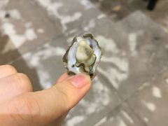 -蚝美人·生蚝海鲜烧烤(茶花园店)