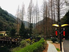 -天明山温泉大酒店