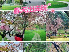 -重庆中央公园(渝北区)