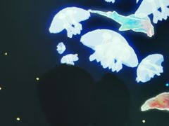 -暹罗海洋世界