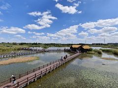 -宁波杭州湾国家湿地公园