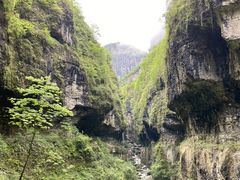 -鹿院坪生态旅游景区
