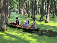 -渌洋湖湿地公园