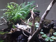 -Together·泰式按摩精油SPA(天山店)