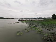 -长广溪湿地公园