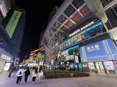 -大悦城(沈阳中街店)