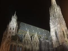 -斯蒂芬主教座堂(Stephansdom)