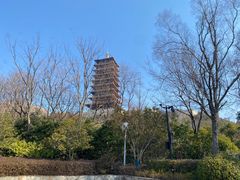 -A One Kitchen·南京精菜馆(德基广场店)