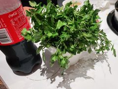 -犇鼎牛潮汕牛肉火锅(新辰里学清路店)
