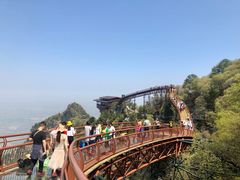 -少华山国家森林公园