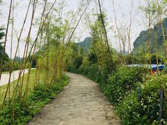 -靖西鹅泉风景区