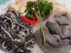 -二荆条·城市森林火锅旗舰店