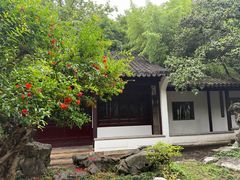 -秋霞圃