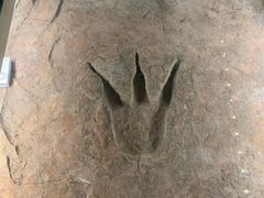 -湖南省地质博物馆