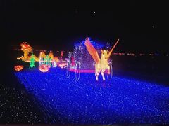-飞凤山奥体公园