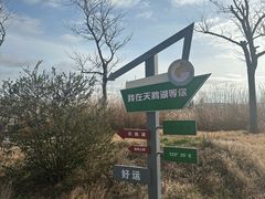 -烟墩角天鹅湖