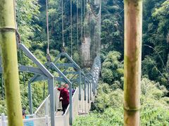 -川西竹海景区