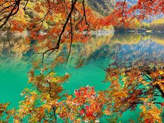 -叠溪松坪沟景区