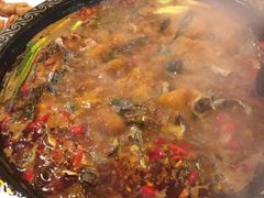 -三道苗苗鱼·美蛙黄辣丁(八里店)