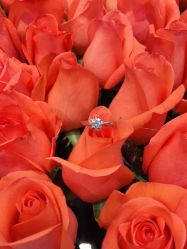 -I Do(齐齐哈尔新玛特购物广场店)