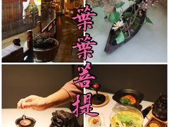 -叶叶菩提·晋福宫