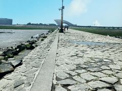 -南汇嘴观海公园