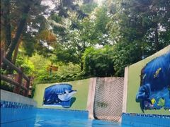 -重庆海昌加勒比海水世界