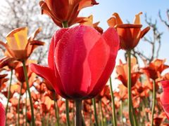 -玄武湖景区-情侣园游乐场