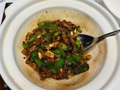 -鱼翅楼·津派砂锅鱼翅(水上公园店)