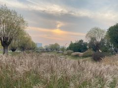 -汉长安城未央宫国家考古遗址公园