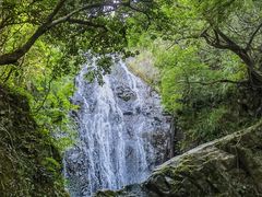 -梧桐山风景名胜区