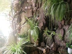 -山水草塘老菜馆