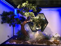 -绿茶餐厅(成都大悦城店)