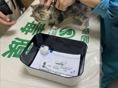 -瑞派宠物医院·24h·骨外科·皮肤科·全科宠物医疗转诊中心(沈阳浑南院)