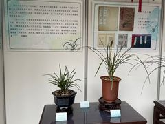 -豫园
