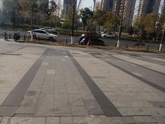 -巢爷老味(东方红店)