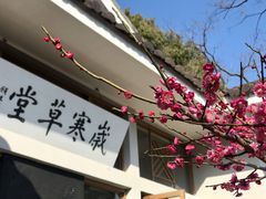 -无锡梅园公园