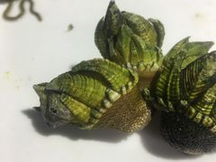 -阿军排档·烧烤