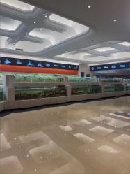 点击看大图 -白金汉爵大酒店·宴会厅(相城店)
