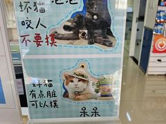 -宠福鑫动物医院(立水桥分院)