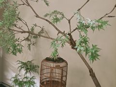 -小厨娘淮扬菜(六合欢乐港店)