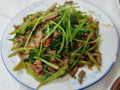 香菜炒牛肉丝-新新湘菜馆(新中街二条店)